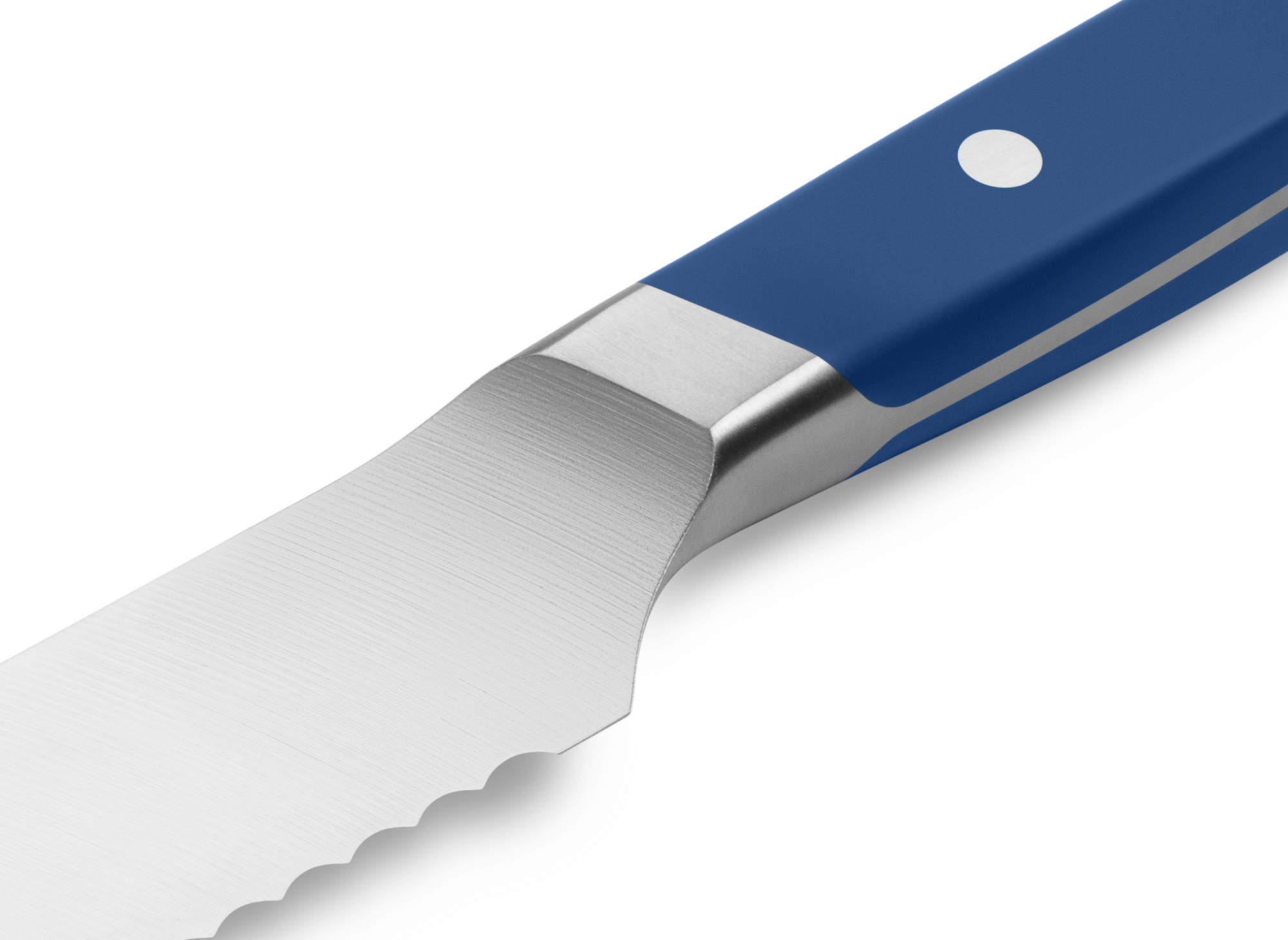 Misen | 2023 Best 8 Serrated Knife | Blue