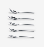 5 PC Chef Spoon Set