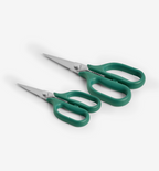 Kitchen Shears Set - Green