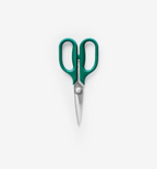 Kitchen Shears - Small - Green