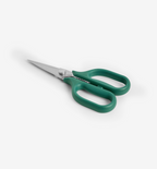 Kitchen Shears - Small - Green