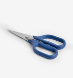 Kitchen Shears - Standard - Blue