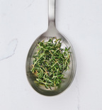 Measuring Chef Spoon