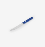 4-Piece Straight-Edge Steak Knives (ACUTO440) - Blue