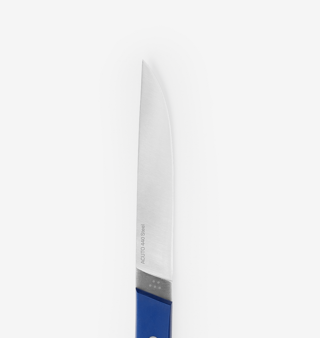 4-Piece Straight-Edge Steak Knives (ACUTO440) - Blue