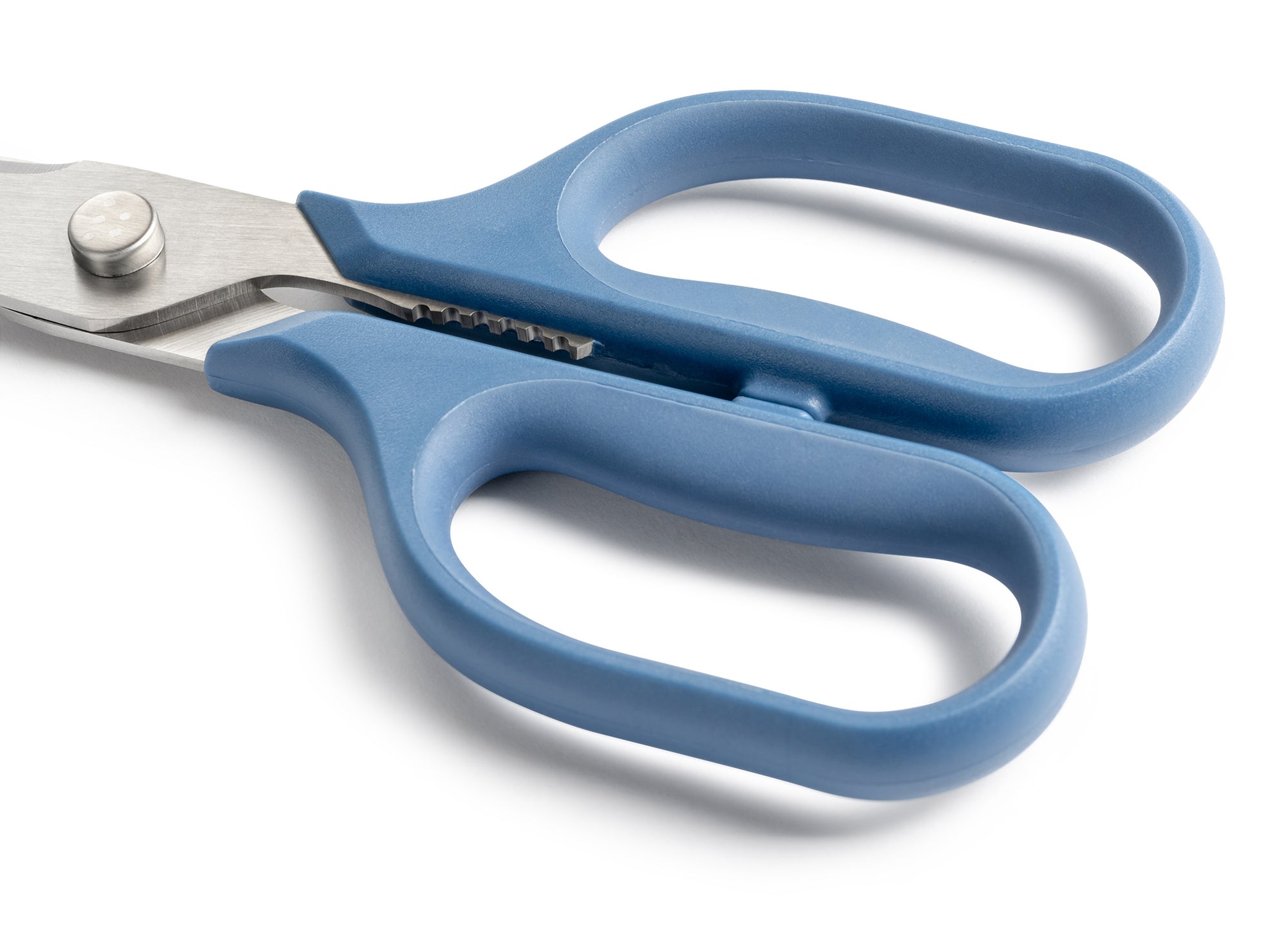 Close view of Blue Misen Kitchen Shears’ ambidextrous handles.