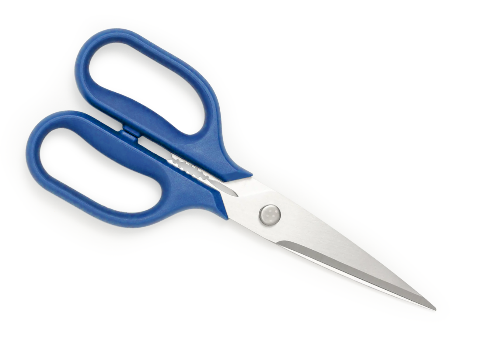 Kitchen Shears